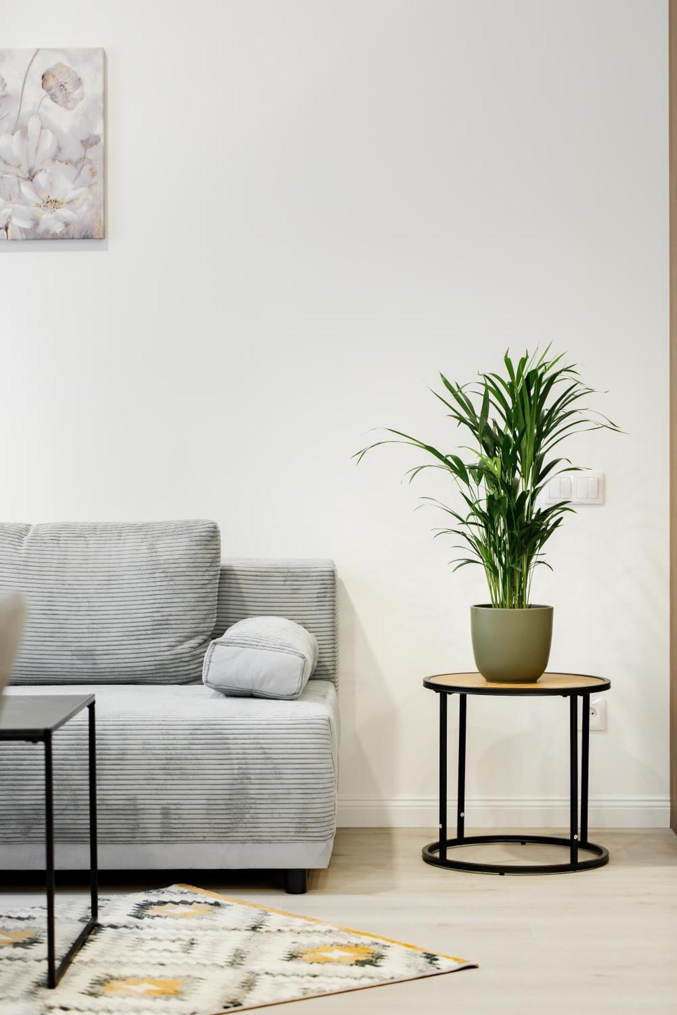 Rigaapartment Elizabetes 22 Self-Service Aparthotel エクステリア 写真